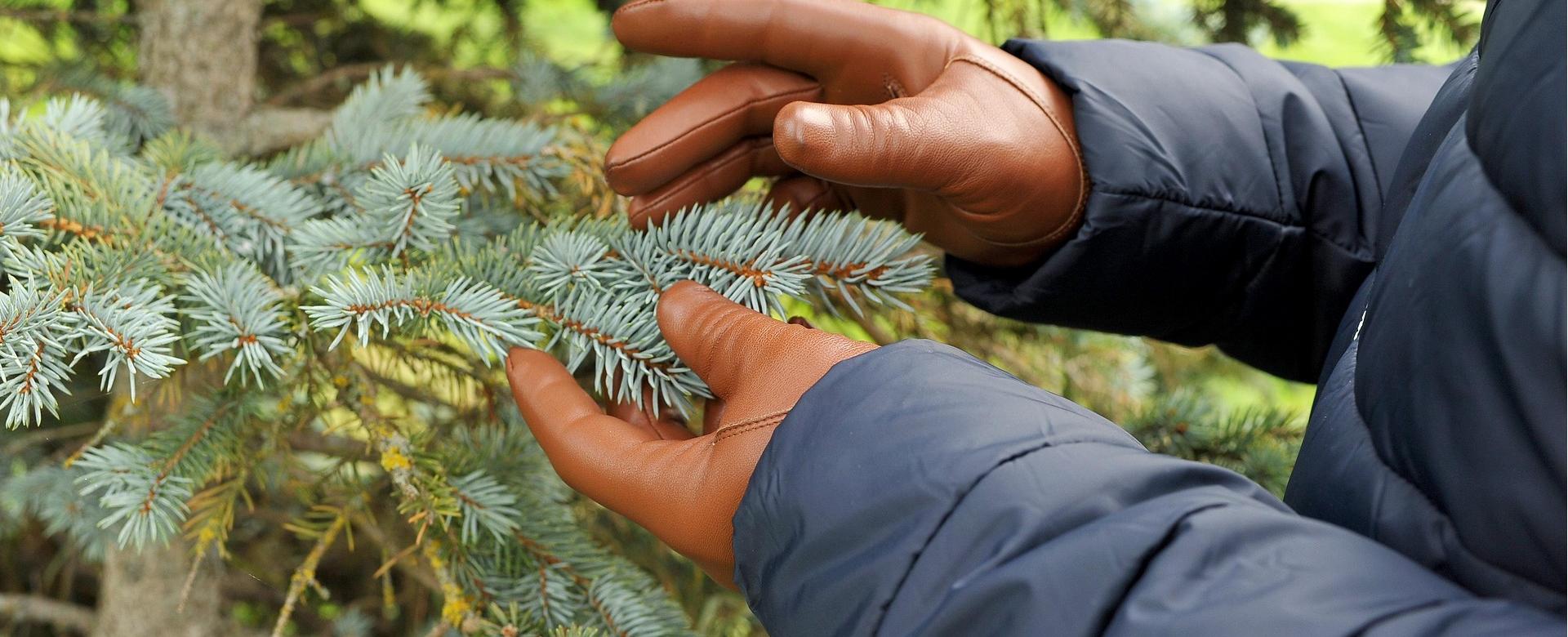 Sermoneta Gloves Sales 10 Sermoneta Gloves Sales -Sermoneta Gloves Sales hand 4799230 1920